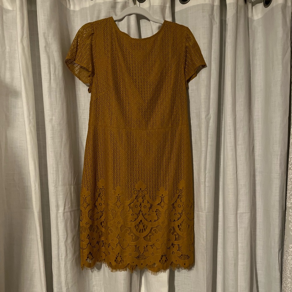Beautiful Lace Dress